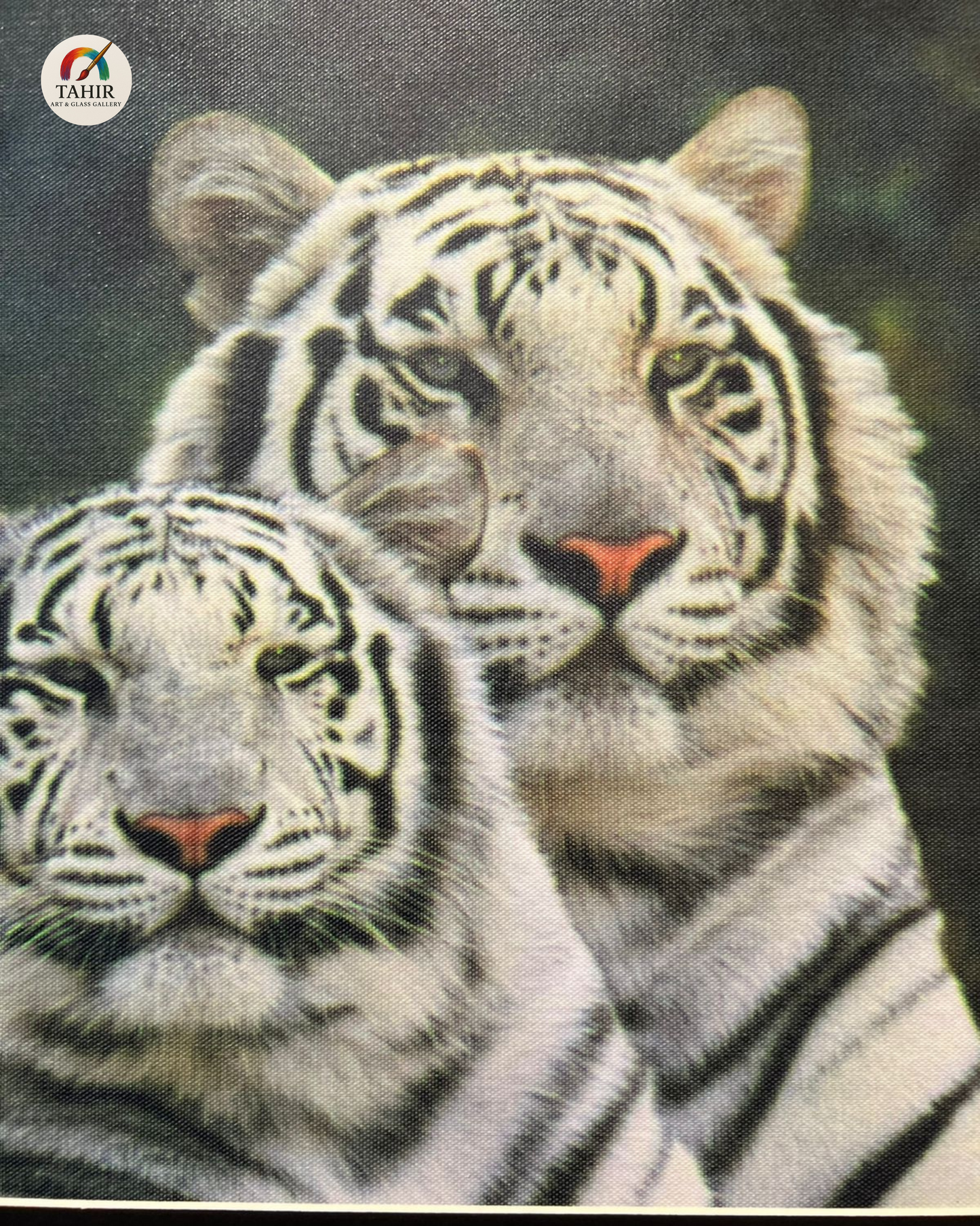 White Tiger Pair Canvas Print – 18x24 Inches | Framed Wildlife Art