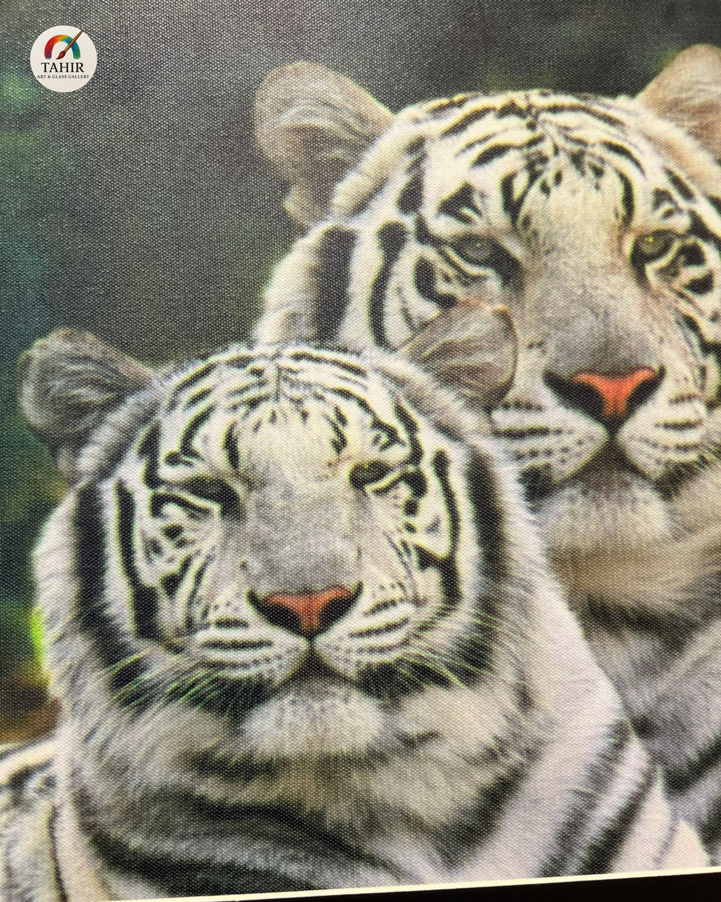 White Tiger Pair Canvas Print – 18x24 Inches | Framed Wildlife Art